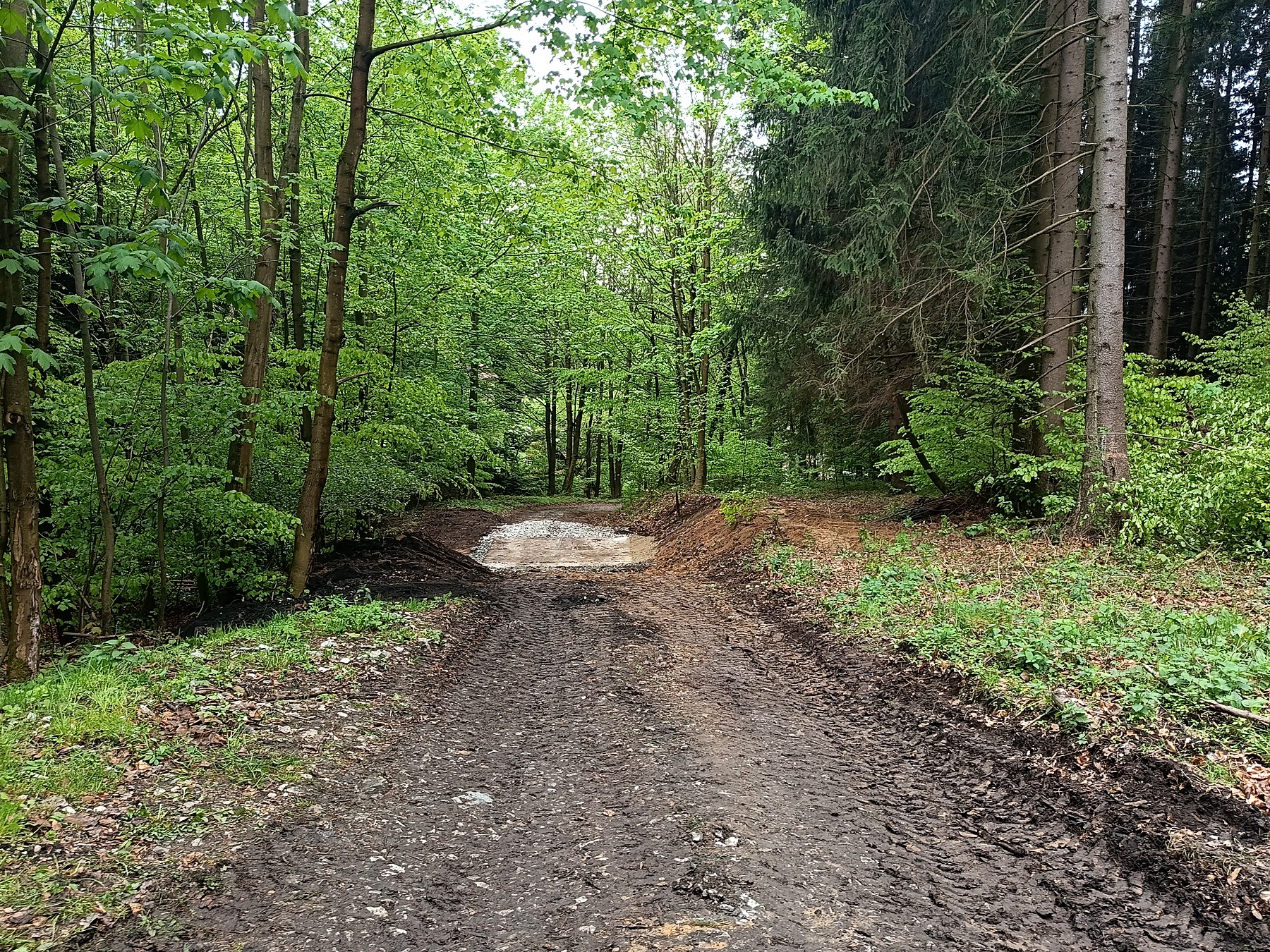 Kyneta – dokončení